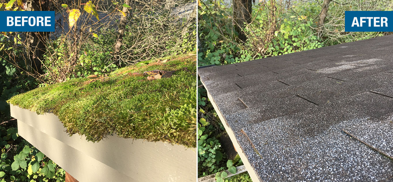 Moss Removal Leader Property Maintenance